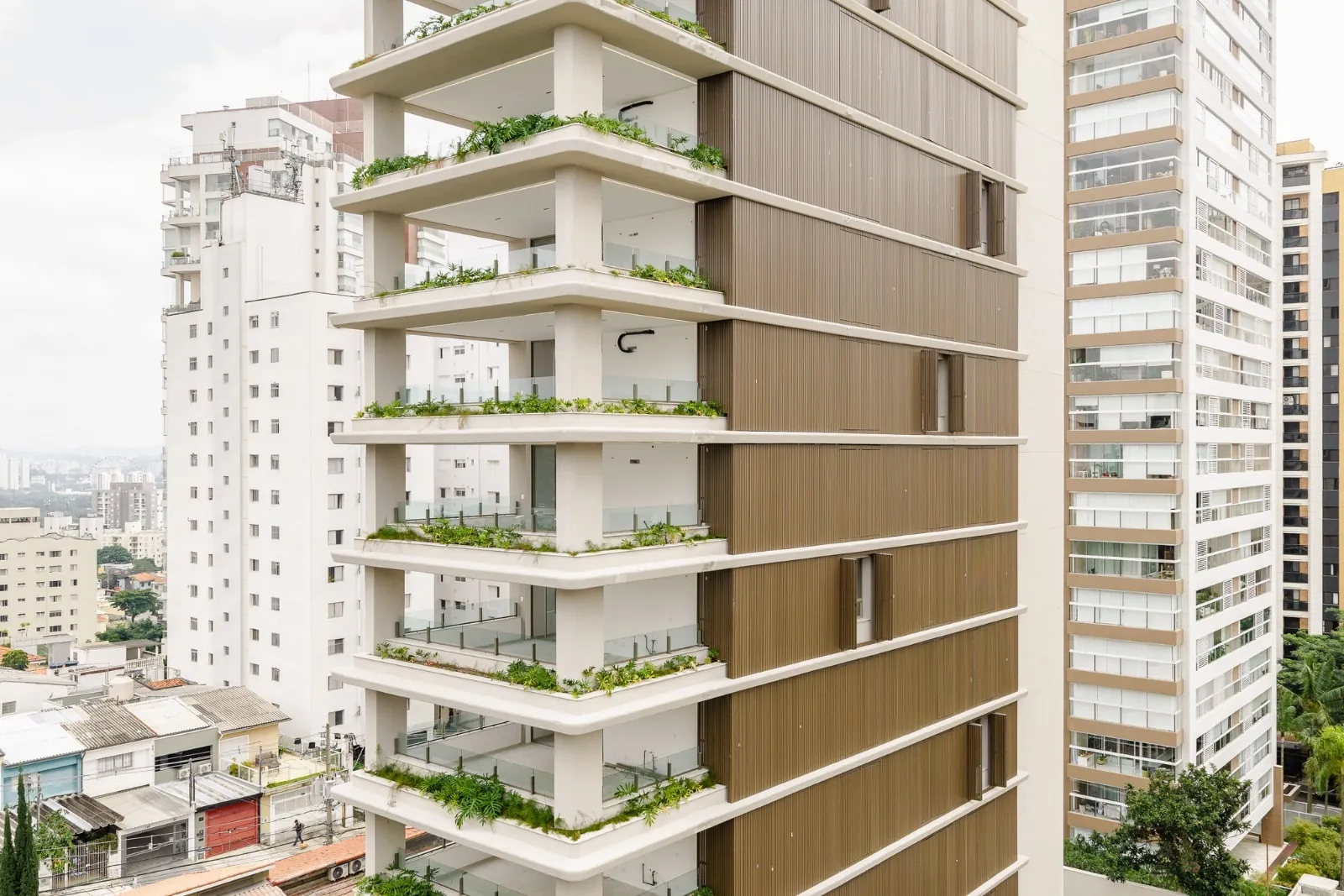 Vista lateral